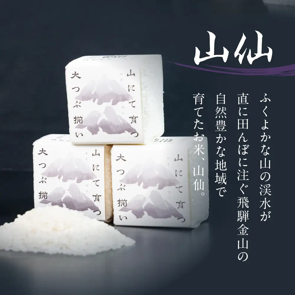 純米吟醸原酒 ひだほまれ55 720ml 1本・山仙キューブ米3個（1個 300g）【2-48】