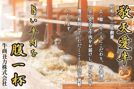 ハンバーグ 牛肉 120g×8個 100% ハンバーグ 