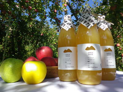 KANCA アップルジュース　1000ml×2本 | りんごジュース アップルジュース フルーツジュース 新鮮 ふるさと納税 返礼品 信州産 長野県産 伊那市【009-50】