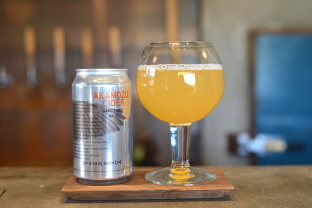 伊那の果物で醸す、フルーティーなクラフトビール6本セット　350mL缶×6本（種類お任せ　3種以上）【017-17】