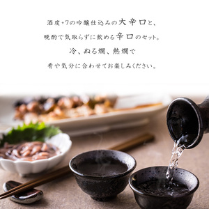 澤正宗 純米吟醸 大辛 出羽の里 澤正宗 辛口  720ml×2本 飲み比べ セット 酒 日本酒 地酒 山形　0140-E-FR033