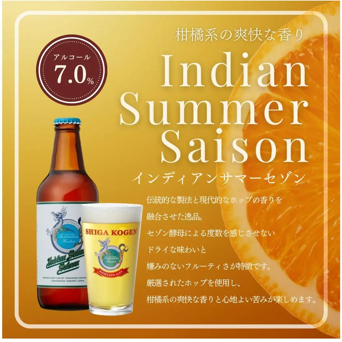 クラフトビール 志賀高原ビール 24本 玉村本店 クラフトビール