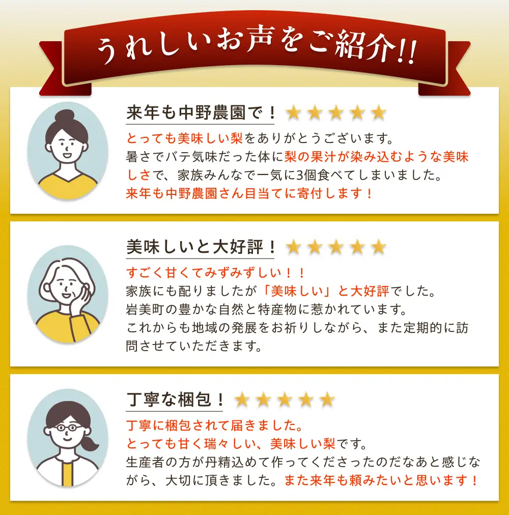 【先行予約】中野農園 梨 ”新甘泉” 3玉入り｜鳥取 岩美 梨 なし ナシ※お届けは2026年8月下旬以降【41019】