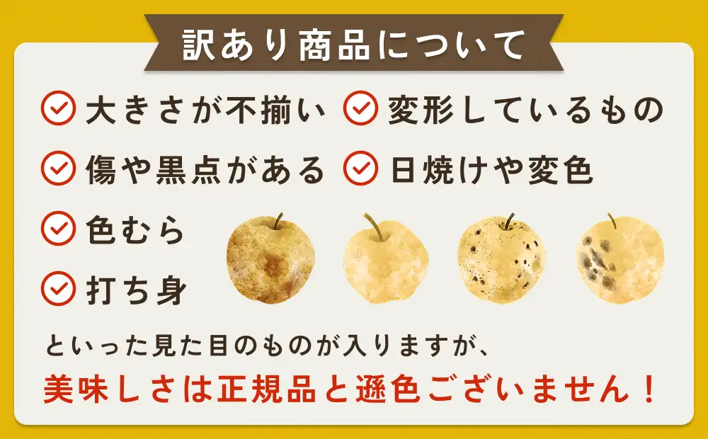 【先行予約】（訳あり）中野農園 梨 ”新甘泉” 5kg箱｜鳥取 岩美 梨 なし ナシ※お届けは2026年8月下旬以降【41022】