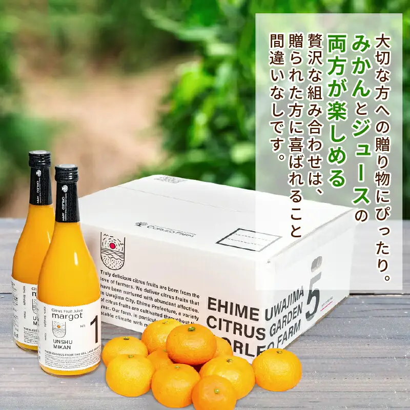 みかん(2.2kg) ジュース(720ml×2本) セット │ ジュース コルレオファーム B016-145015