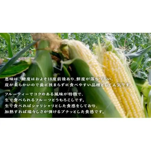 【 2025年 7月 発送開始 】 《3か月定期便》旬の野菜3種 419キャベツ 恵味トウモロコシ じゃがいも きゃべつ 嬬恋村産キャベツ 羽生田売店 幻のキャベツ419 [AL018tu]