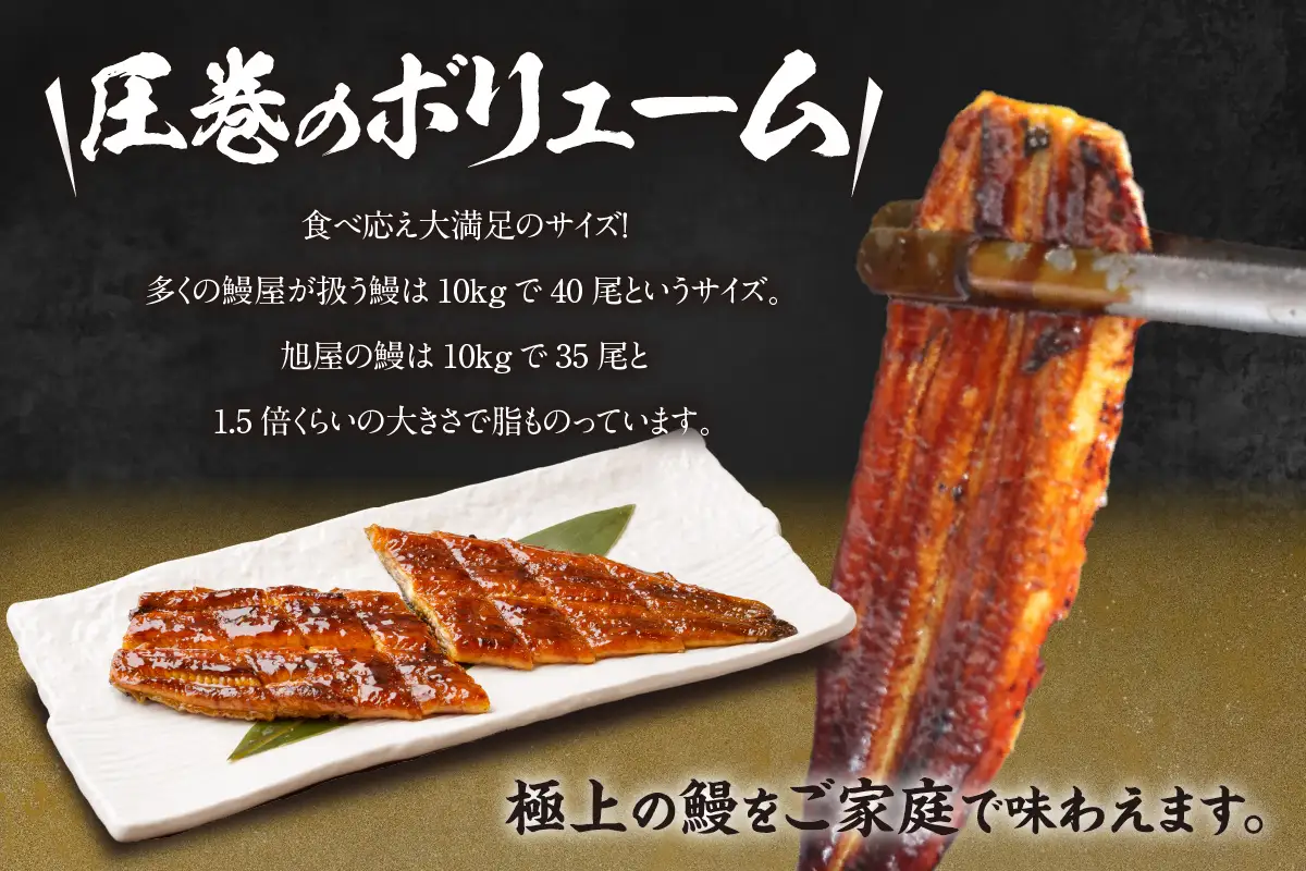 【お中元用】国産特大うなぎ長焼き１尾(約２００ｇ)（3536）