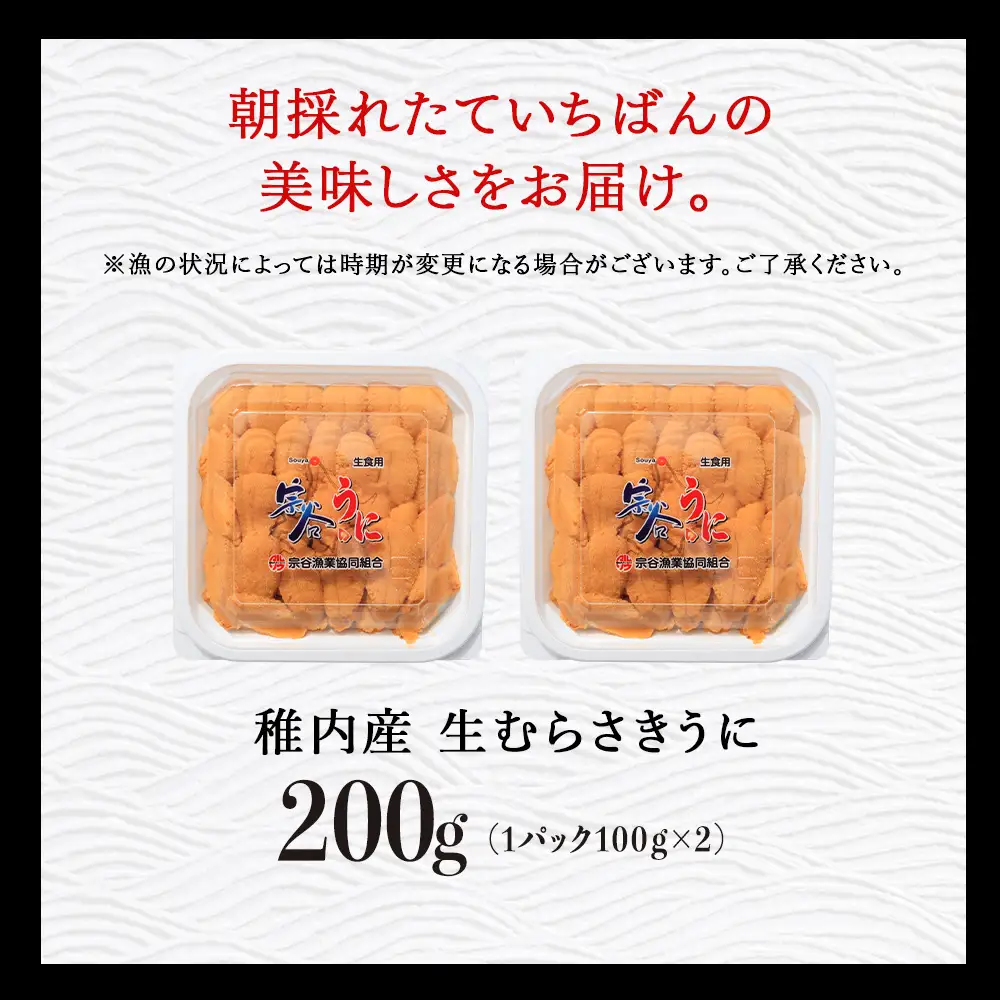 【2027年発送】【うにの名産地稚内市】最北端の生むらさきうに(100gパック×2)