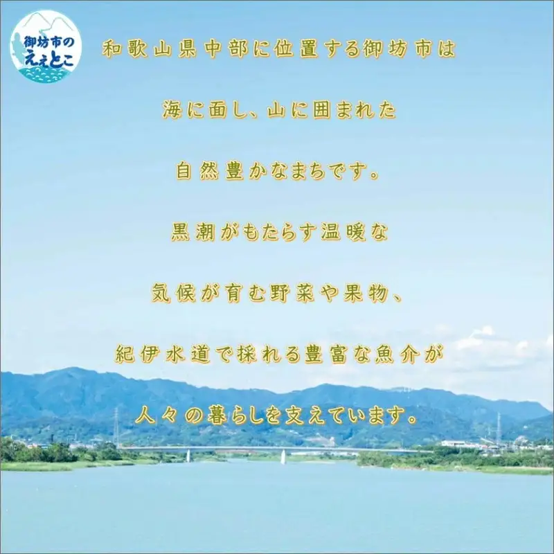 野尻醤油丸大豆醤油200ml  さしみ醤油200ml（各2本）【1204】