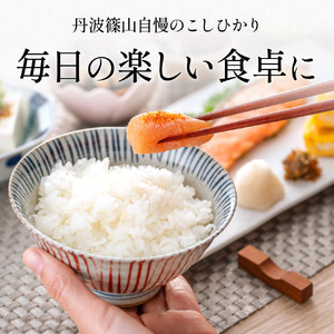 【令和7年産】丹波篠山産 コシヒカリ 10kg 白米 白米 単一原料米 産地直送米 おいしい お米 精米 コシヒカリ ブランド おこめ 健康 送料無料 おすすめ 人気 口コミ MTS003