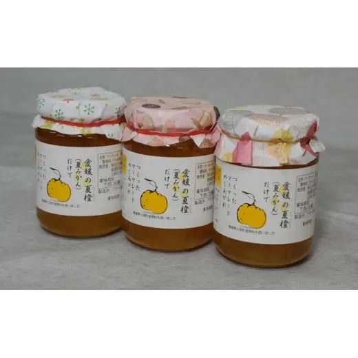愛媛の夏橙（なつみかん）だけでつくった マーマレード 3個セット