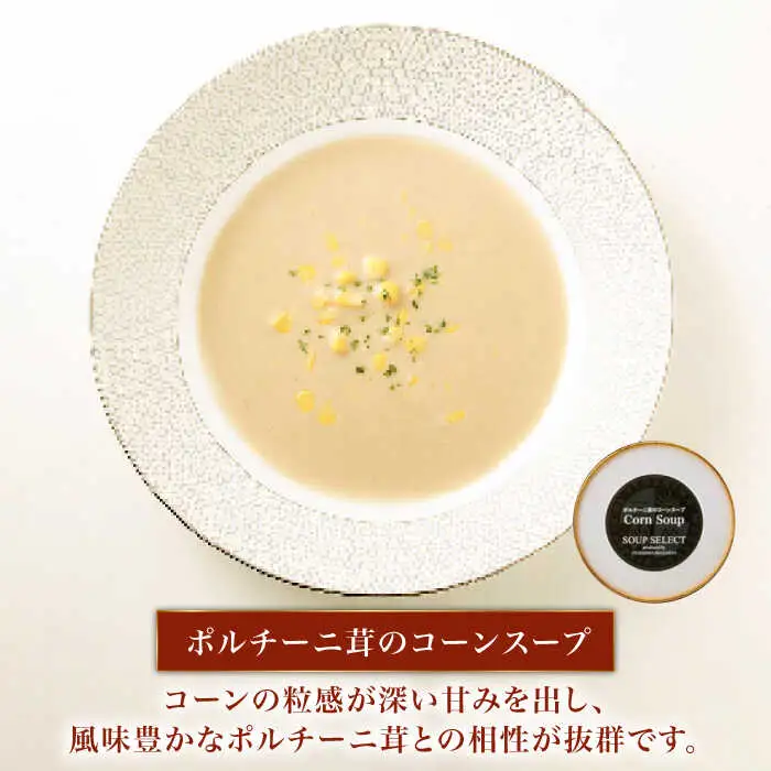 【全3回定期便】SoupSelect 2点セット 糸島市 / 糸島正キ スープ レトルト [AQA071]