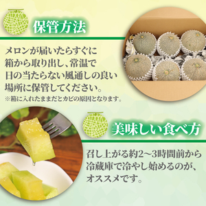 【先行受付】 タカミメロン 訳あり 約10kg 飯岡メロン 青肉