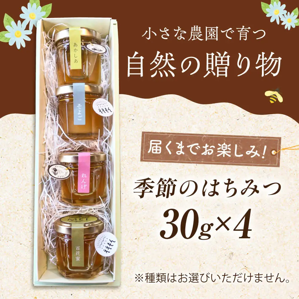 御嵩町産 はちみつ 4種セット ラ・プロヴァンス[AVAK005]蜂蜜