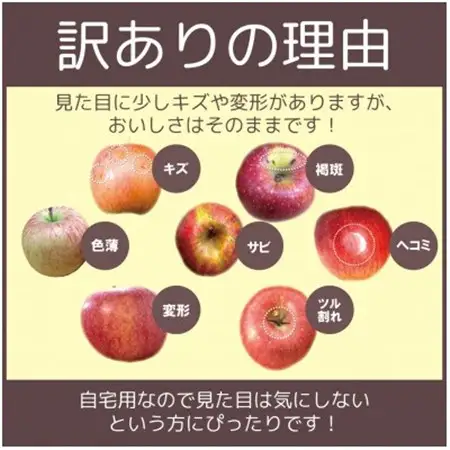 平均糖度13度以上! サンふじ 約10kg 訳あり_果物・フルーツ りんご  リンゴ 林檎_【配送不可地域：離島・沖縄県】【1611199】