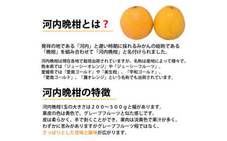 ＜ R8年熊本地震復興支援 ＞訳あり 河内晩柑 8kg 晩柑 ばんかん 柑橘類 果物 フルーツ 【2027年3月下旬～7月下旬迄発送予定】