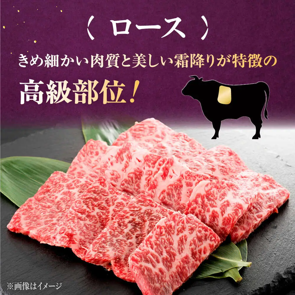 【全12回定期便】【数量限定 博多和牛】ロース 焼肉用 500g 桂川町/株式会社チクゼンヤ [ADBZ048] 焼肉 焼肉用 牛肉 国産 定期便