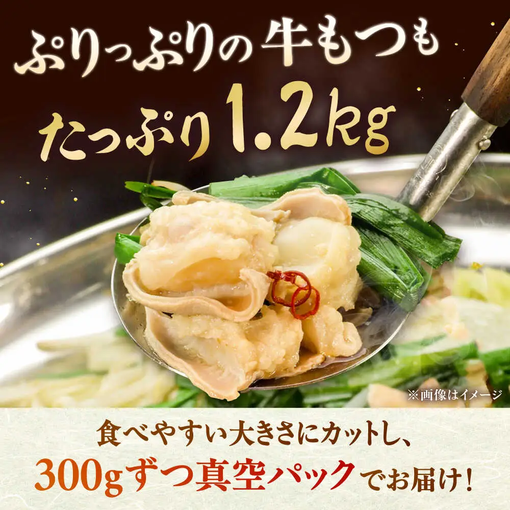 【全6回定期便】もつ鍋セット 5人前×4回分 合計20人 桂川町/株式会社チクゼンヤ [ADBZ055] もつなべ もつ 大容量 鍋セット