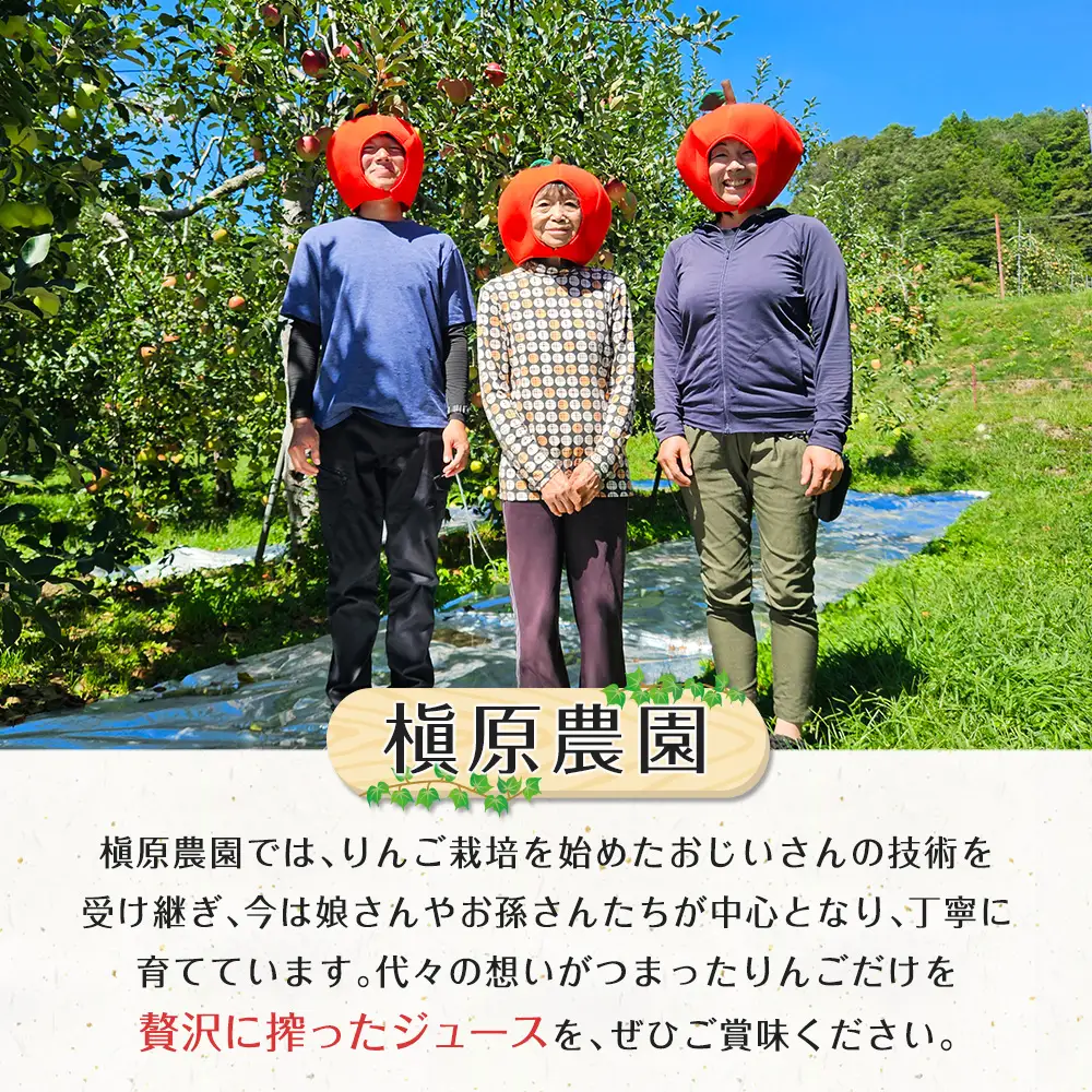 りんごジュース 芸北りんご 槇原農園 果汁100% ストレートジュース 1,000ml  2本_MA077_003