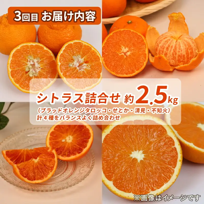 シトラス フルーツ ＆ ジュース 4回 定期便 コルレオファーム 不知火 デコポン ( デコポン と同品種) 南柑20号 ブラッドオレンジ モロ 甘平 はるか ポンカン タロッコ せとか 清見 シトラスジュース 720ml B052-145019