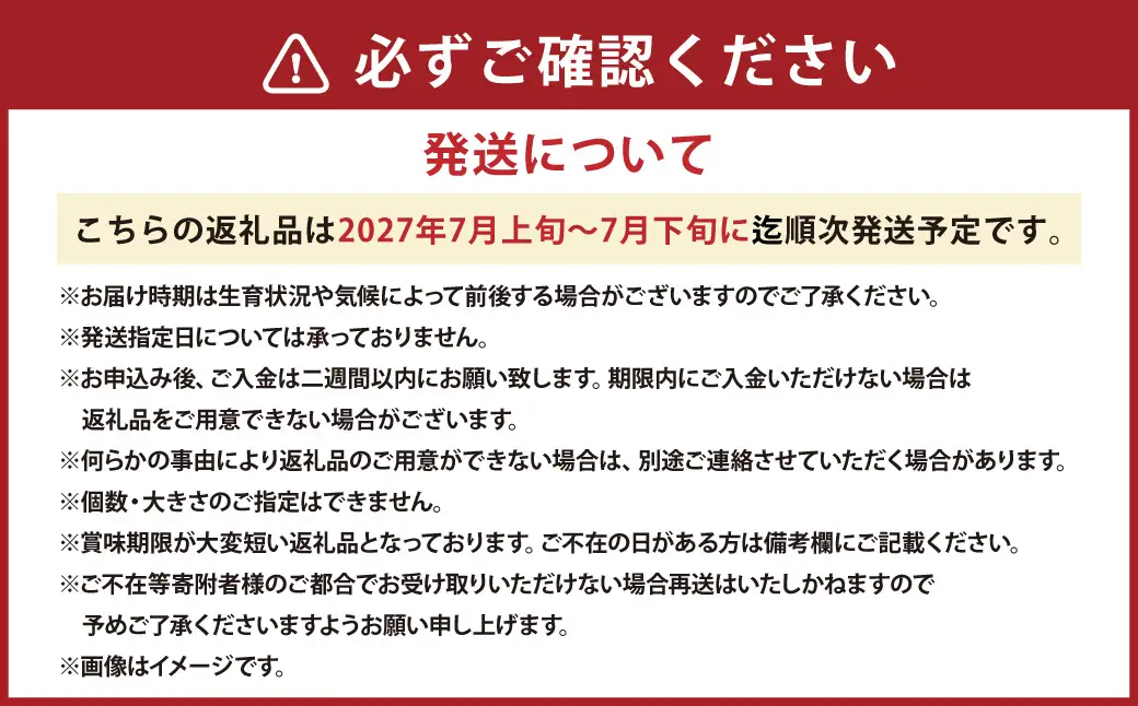 キングメルティーメロン 大玉 4玉（1玉 約2kg） 果物 フルーツ メロン めろん 青肉 希少フルーツ 希少品 北海道 浦臼町 【2027年7月上旬～7月下旬発送予定】