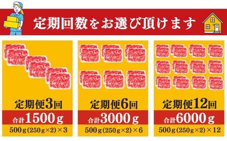 【 定期便 3回 】 奈良県産 黒毛和牛 大和牛 切り落し 500g ( 250g x2) ｜ブランド牛 和牛 金井畜産