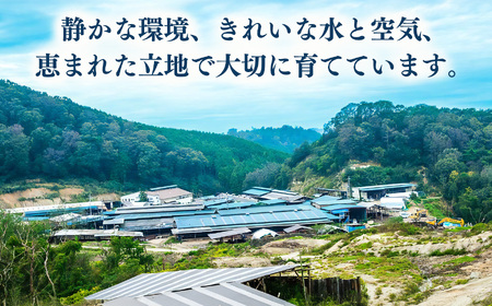 【 定期便 6回 】 小分け 国産牛 こまぎれ 600g ( 300g x2) ｜ブランド牛 和牛 金井畜産