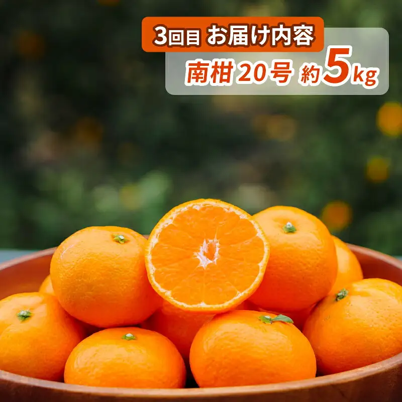 シトラス フルーツ ＆ ジュース 6回 定期便 コルレオファーム 極早生 宮川早生 南柑20号 ブラッドオレンジ モロ 甘平 はるか ポンカン タロッコ せとか 清見 不知火 デコポン ( デコポン と同品種) シトラスジュース 720ml × 3本 B072-145020