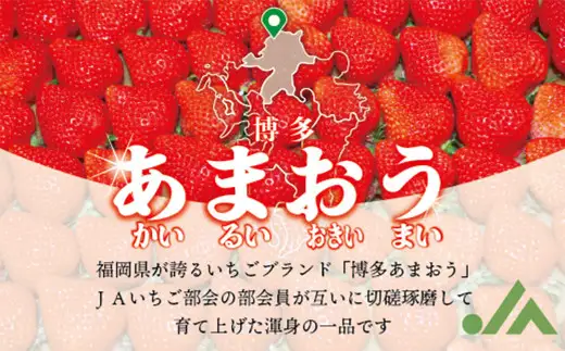 博多あまおう2パック（冬） 250g～270g×2パック 合計約500g～540g あまおう いちご 苺 イチゴ フルーツ 果物 くだもの【2026年12月上旬-2027年1月下旬発送予定】