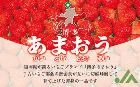 博多あまおう6パック（冬） 250g～270g×6パック 合計約1500g～1620g あまおう いちご 苺 イチゴ フルーツ 果物 くだもの【2026年12月上旬-2027年1月下旬発送予定】