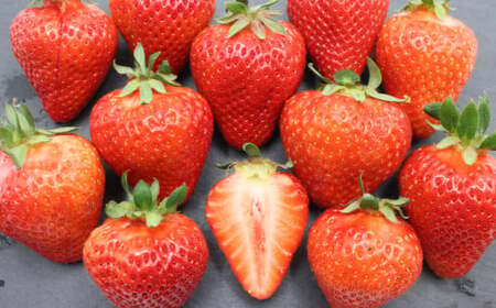 【3回定期便】 博多 あまおう （250g-270g）×4パック いちご 苺 イチゴ あまおう フルーツ 果物 くだもの 定期 福岡県 岡垣町 【2027年2月上旬-4月下旬発送予定】