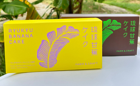 琉球甘蕉ケイク2箱（プレーン・カカオ）各5個入 沖縄 おきなわ おかし お菓子 バナナ アップルバナナ ばなな 伝統 特産品 ふるさと納税 送料無料 名護市 なご スイーツ お土産 お取り寄せ 人気 カカオ かかお