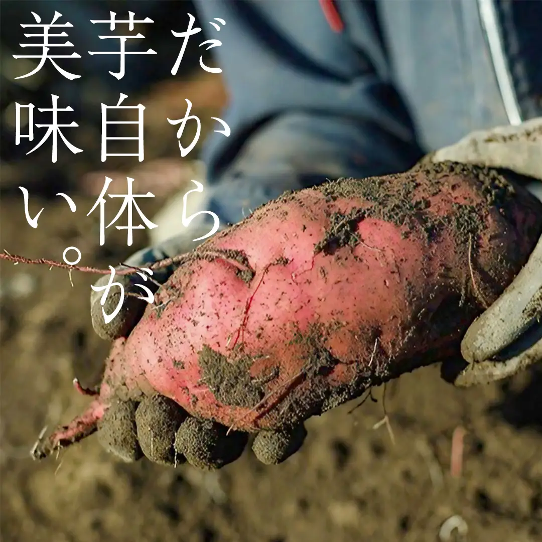 ＼ スピード発送対応 ／【 照沼クオリティ 】 干しいも 紅はるか 平干し100g×8袋