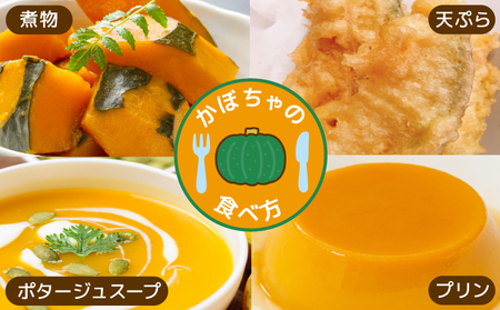 かぼちゃ 詰め合わせ 約3~5玉 カボチャ