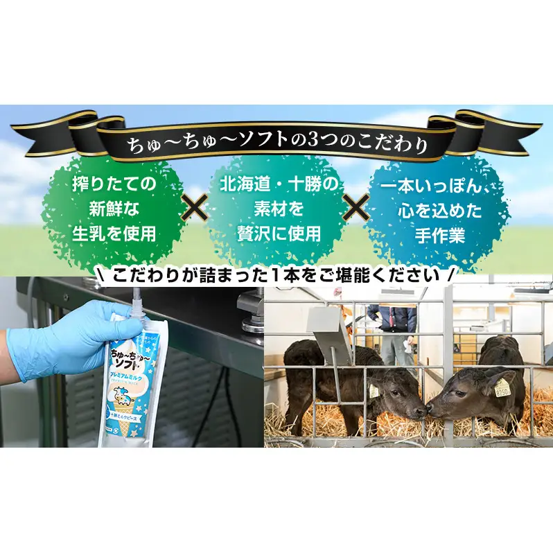 【十勝産生乳100％】 飲むソフトクリーム 100ml×6個 ちゅ～ちゅ～ソフト（プレミアムミルク）【 バター 仕込み ジェラート アイス ミルク アイスクリーム ソフトクリーム デザート スイーツ おやつ ミルク 詰め合わせ 北海道 十勝 幕別 】
