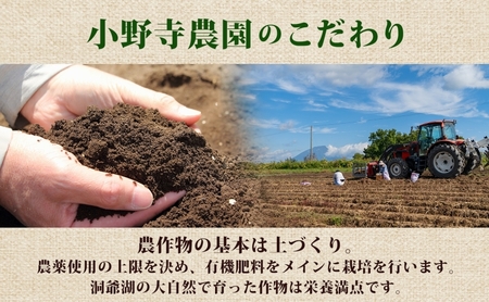 じゃがいも とうや 小野寺農園 北海道産 じゃがいも【10kg】【先行予約】