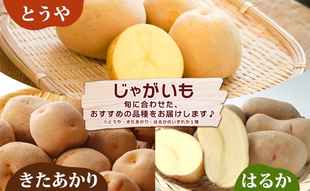 野菜セット 南瓜 くりりん じゃがいも 北海道産 野菜セット【計10kg】【先行予約】