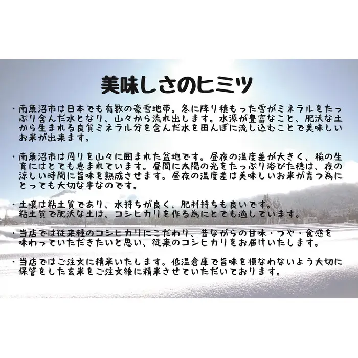 【令和7年】【定期配送】南魚沼産コシヒカリ 白米 5kg 全12回 | コシヒカリ