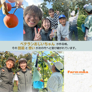 【先行予約】Farm m&aの富有柿 2L×9個 秀品 岐阜県 大野町（2026年11月下旬～発送）農家直送 果物 フルーツ 秋の味覚 柿 かき 富有 ふゆう