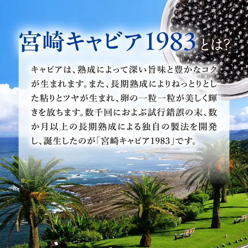 宮崎キャビア1983 セレブレーション（20g） キャビア 魚卵 宮崎県産 チョウザメ おせち オードブル 慶事 祝い事 贈答用 贈答 ギフト レシピ