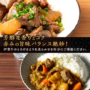 伊賀牛 スジ肉 3kg 三重県 煮込み 伊賀牛