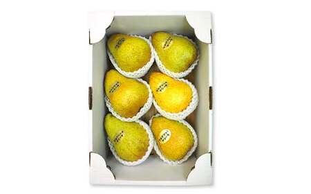 洋梨 マルゲリット・マリーラ 約3kg (5～8個) 【盛果園】 F21U-364