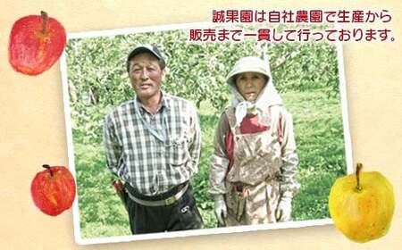 最高級 特選（大玉） 青森産 完熟 りんご 約4kg サンふじ 王林 2種セット レトロ風 ロイヤル木箱入り 【誠果園】 F21U-229