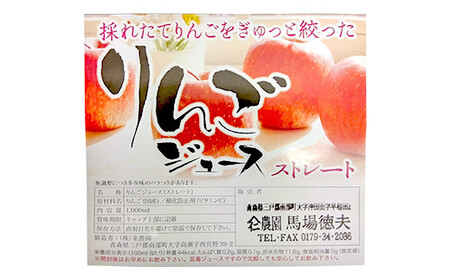 青森県南部町産 サンふじりんごジュース 3本【ヤマニ農園】 F21U-353