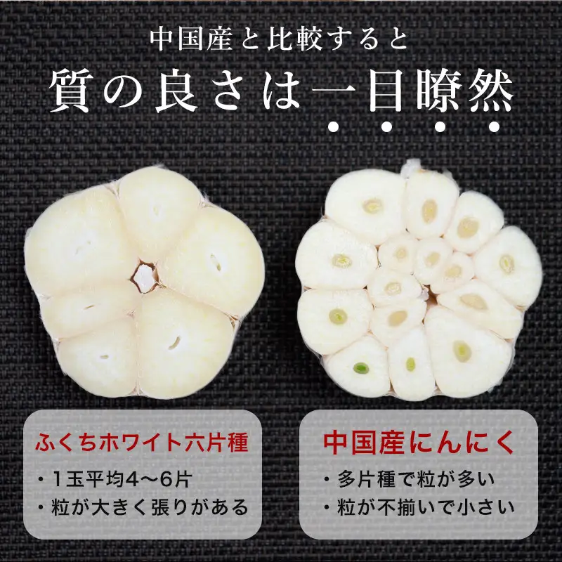 南部町営市場 直送 にんにく「ふくちホワイト六片種」（Lサイズ×10個）《カネテ青果》 F21U-127