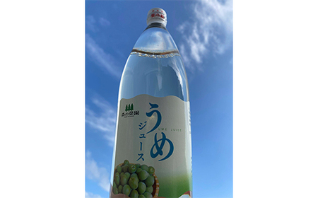 うめジュース (1000ml瓶×６本) 【森の菜園】 F21U-197