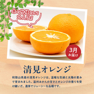 【発送月固定定期便】魚鶴自慢のご家庭用柑橘セット(みかん・不知火・清見)全3回_G60-T97