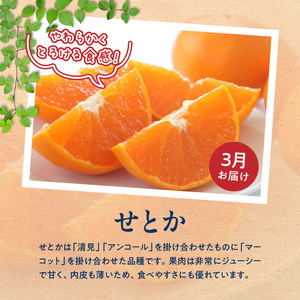 【発送月固定定期便】紀州和歌山産旬のご家庭用柑橘セット(みかん・不知火・せとか・清見)全4回_G60-T98