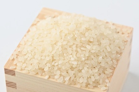 特別栽培米〈とちぎの星〉5kg　≪米 お米 白米 ご飯 栃木県産≫ ※2026年9月～発送