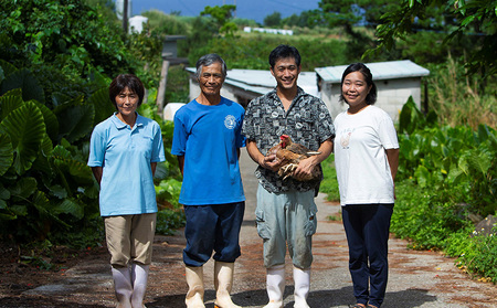 鶏肉 島の泡盛酒粕でじっくり健康的に育てた 久米島赤鶏1羽セット(解体) 2kg 国産鶏肉